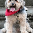 Mikey - People Watching in Central Park 