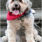 Mikey - People Watching in Central Park 