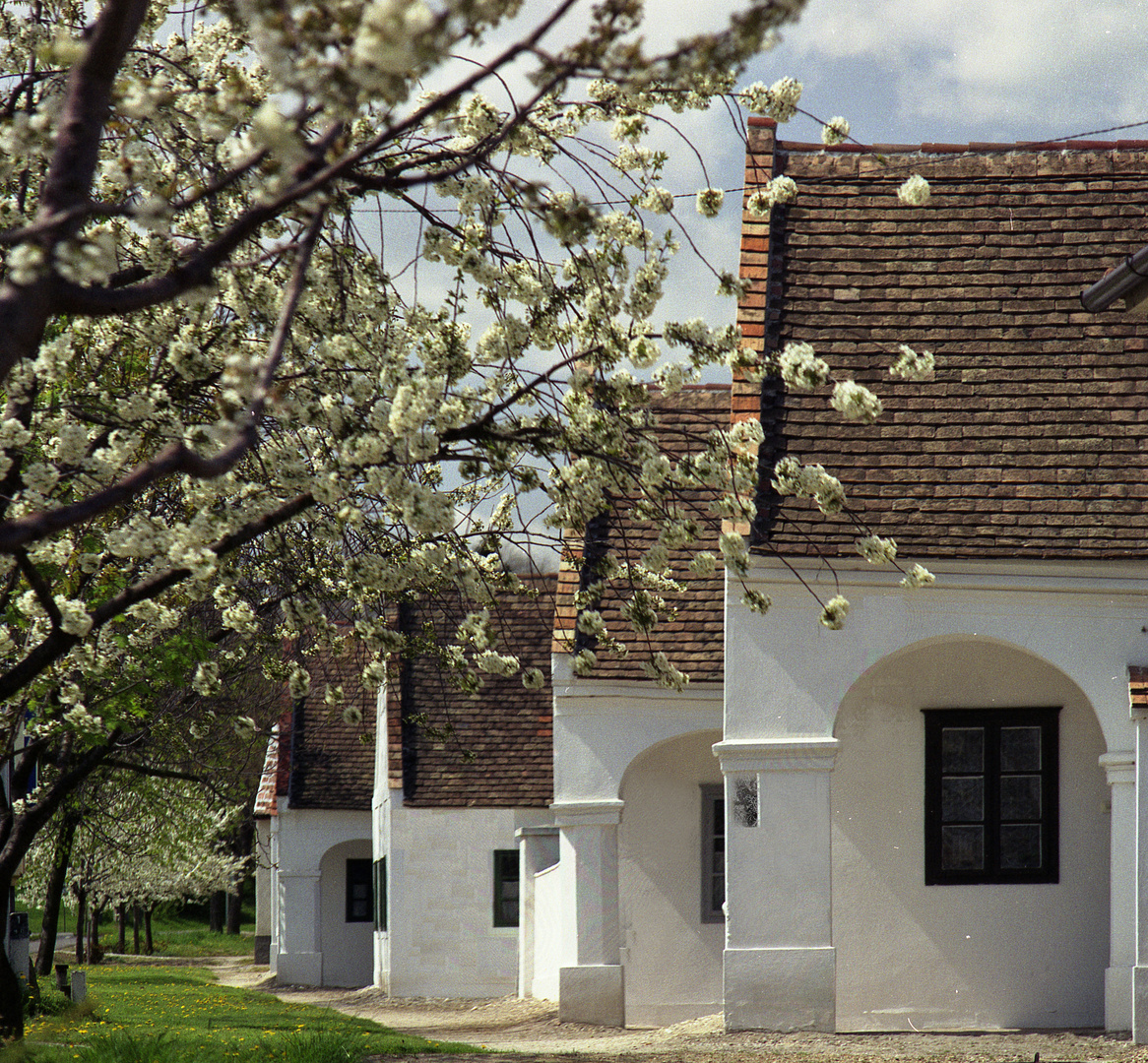 Miklós major Fert&#337;d