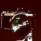 User Profile Photo