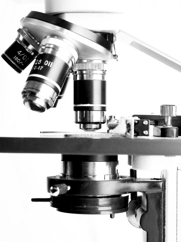 Mikroskop von Andreas Nägele