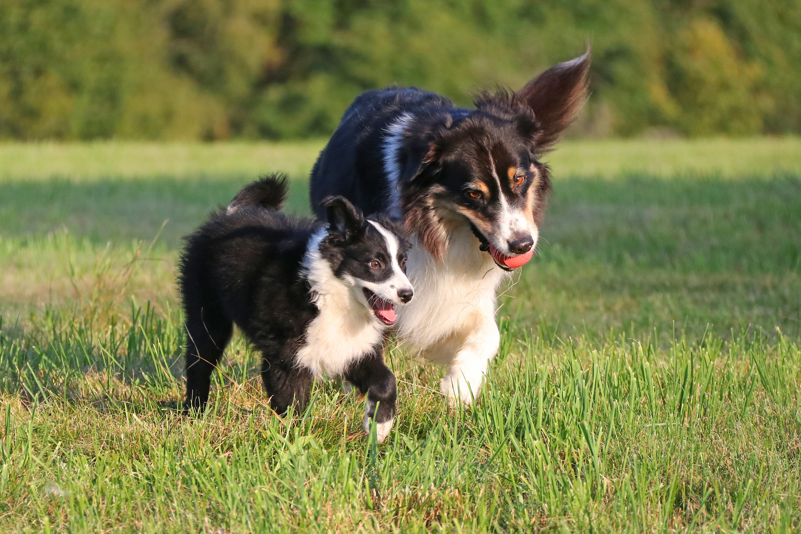 Mila und Luna