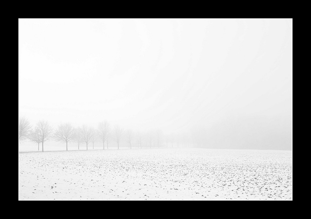 Milak Park Wiener Neustadt II