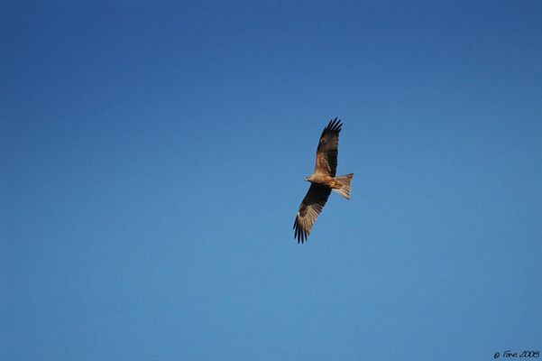 Milan en approche...