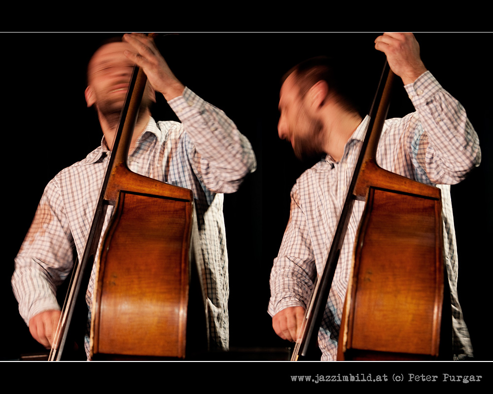 Milan Nikolic | double bass | The Flow