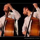 Milan Nikolic | double bass | The Flow