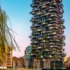 Milano Bosco verticale