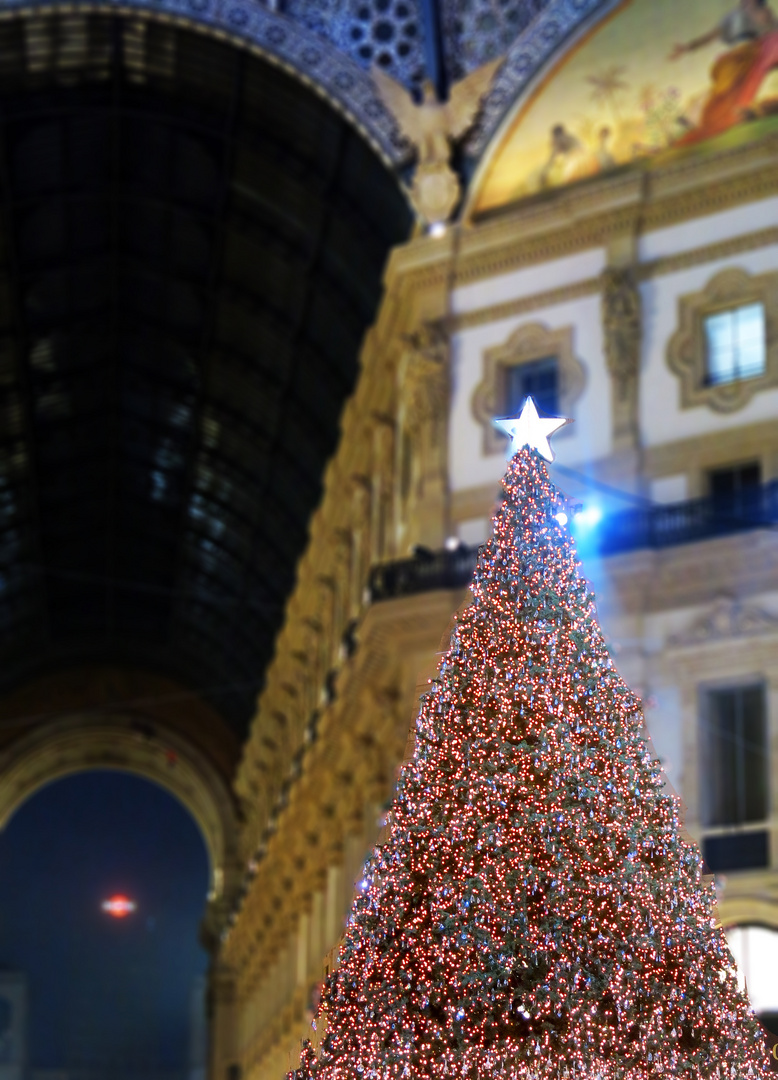 Milano Chistmas Lights