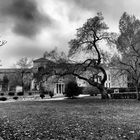 Milano, giardini della Guastalla