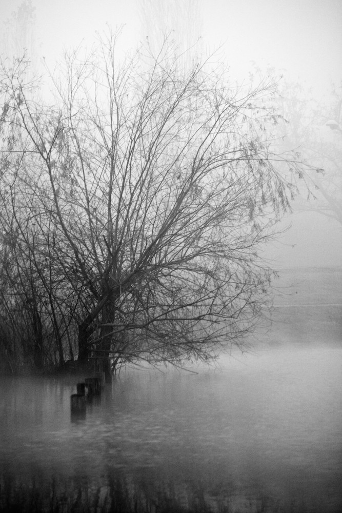 milano, magia della nebbia