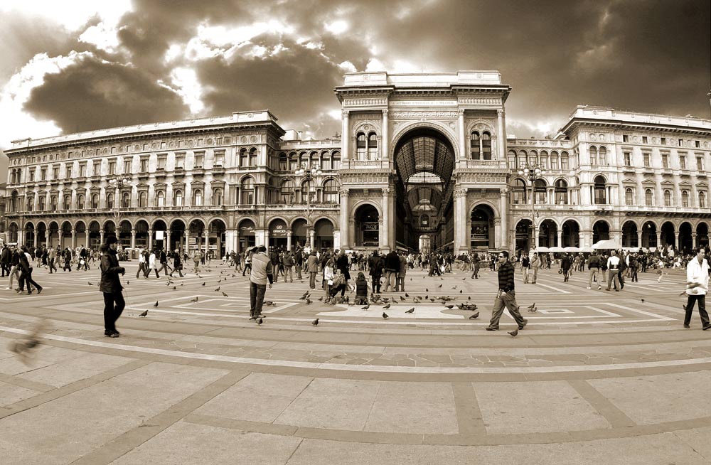 Milano mit schneller Taube