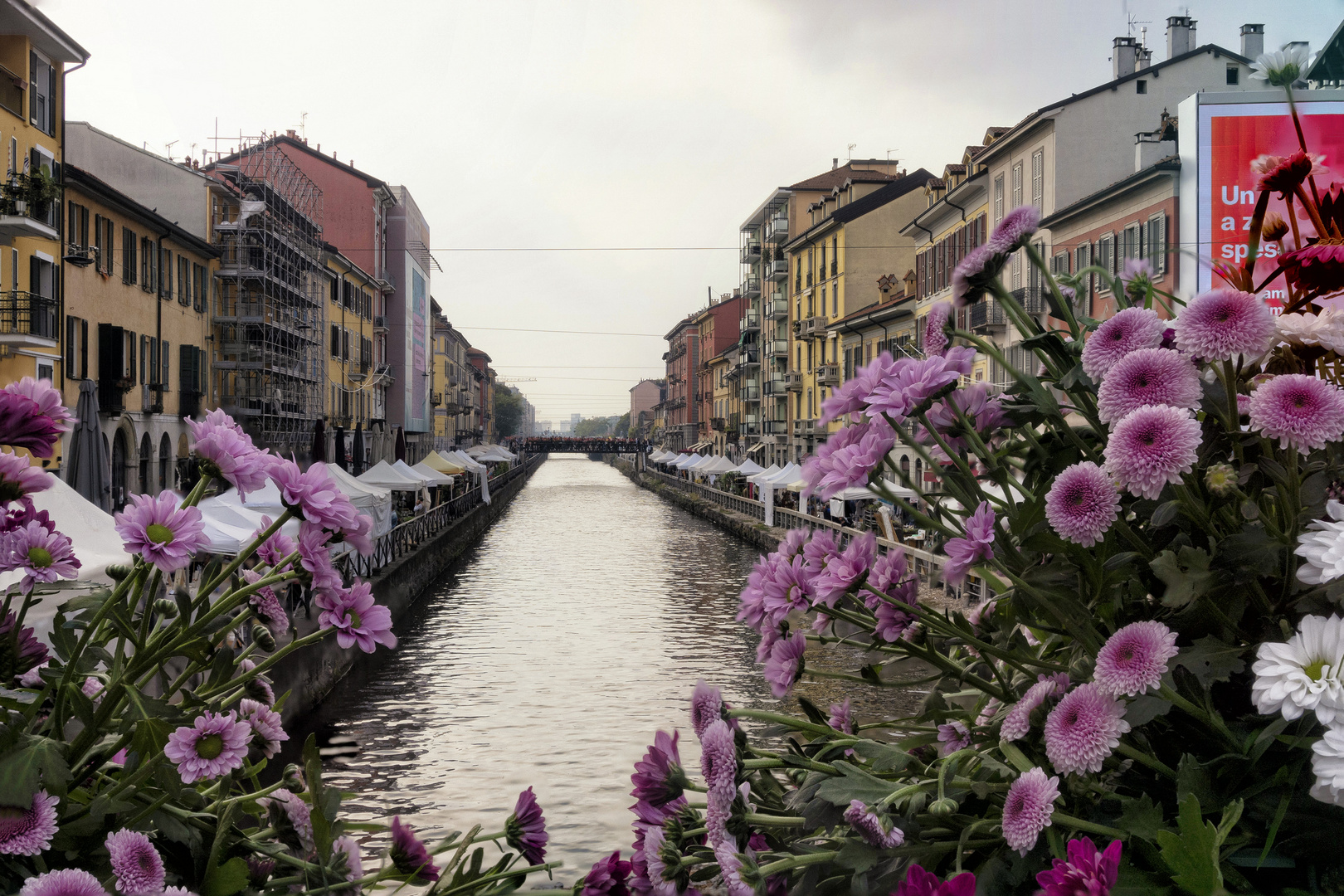 Milano, naviglio e fiori