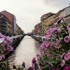 Milano, naviglio e fiori