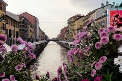 Milano, naviglio e fiori