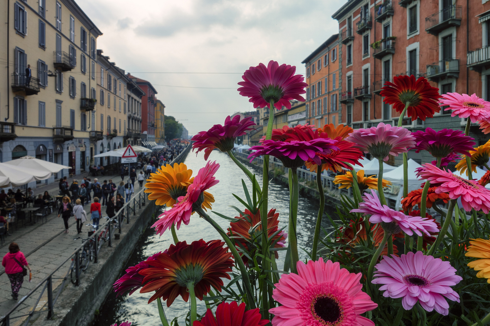 Milano, naviglio e fiori