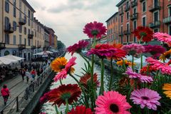 Milano, naviglio e fiori