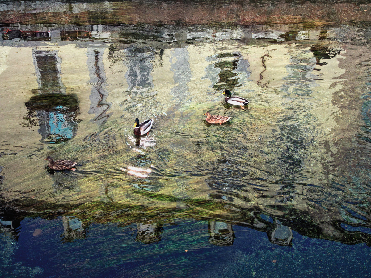 Milano Naviglio Grande