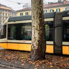 Milano, Porta Venezia