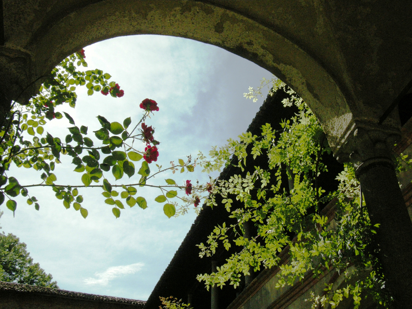 Milano Via Cappuccio 7 - Chiostro delle Umiliate.