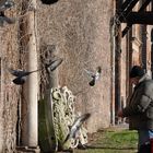 Milano_Castello Sforzesco_1