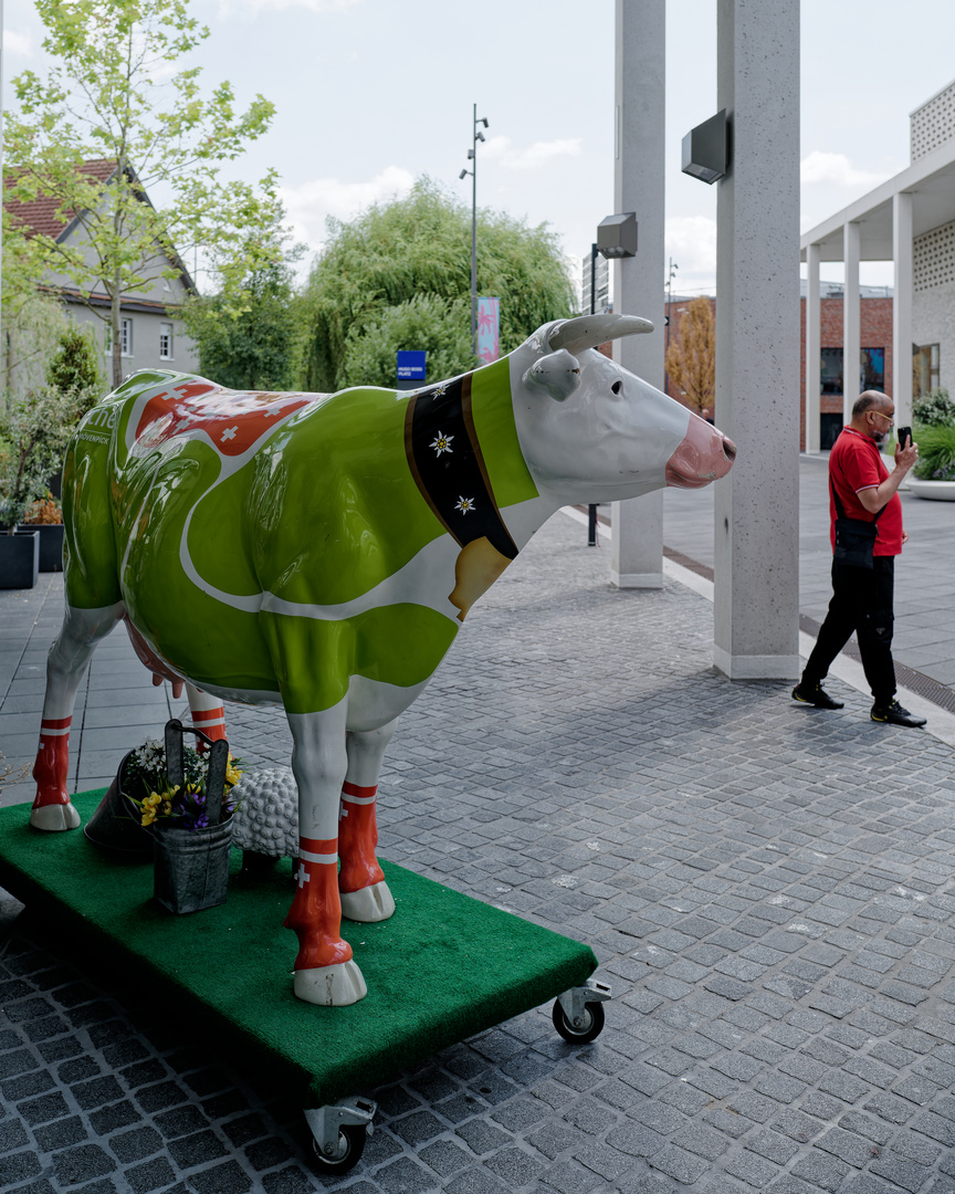 Milch auf Rädern