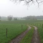 Milch fließt nach unten