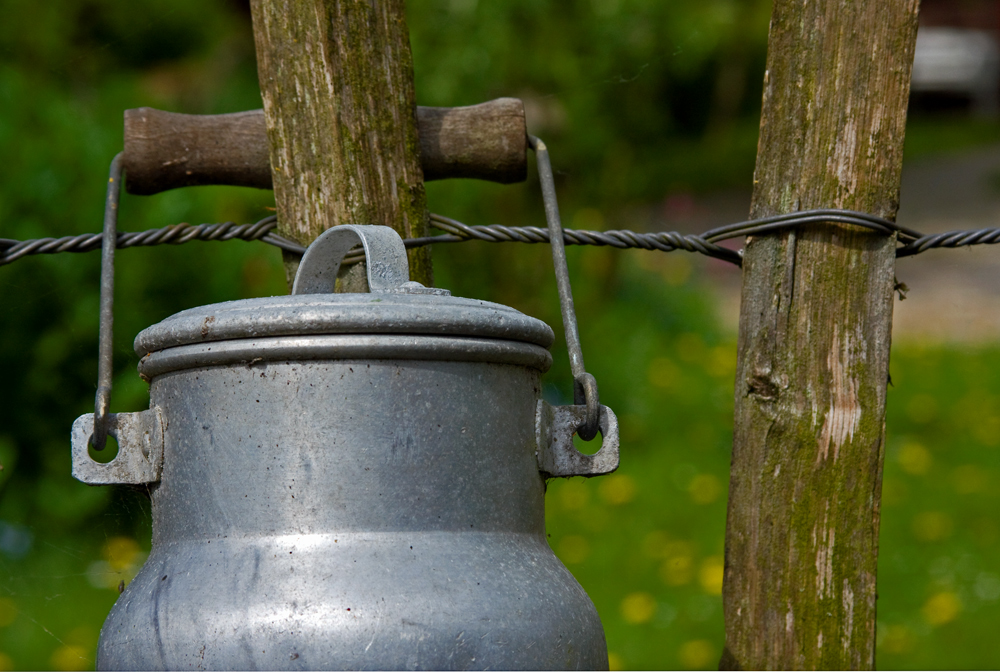 Milch gab es noch in der Milchkanne.......