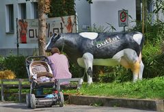 Milch gibt es heute ganz frisch