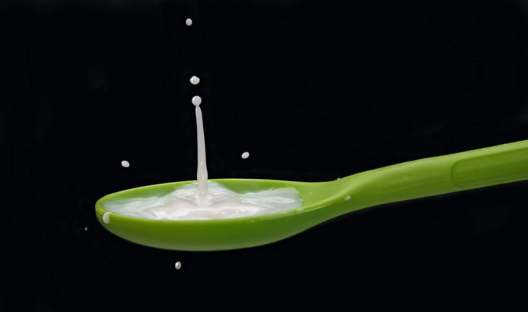 Milch Splash II