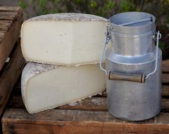 Milch und Käse