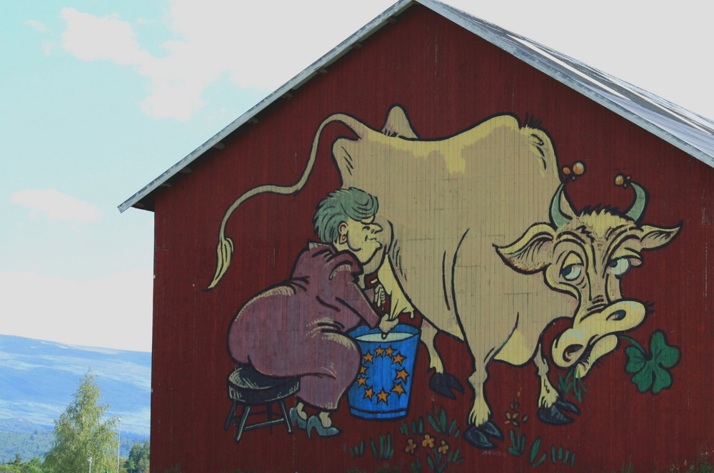 Milch von einer glücklichen (?) Kuh