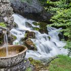 Milchfluss am Comer See