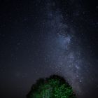 Milchstraße mit Baum 