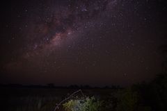 Milchstraße über Botswana