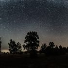 Milchstraßenpanorama Wacholderheide