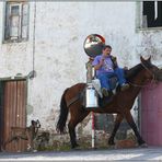 Milchtransport auf São Miguel .....