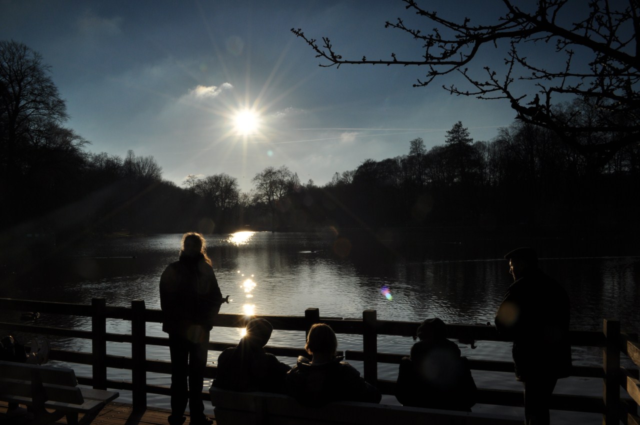 milde Januarsonne im Rombergpark Dortmund