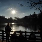 milde Januarsonne im Rombergpark Dortmund