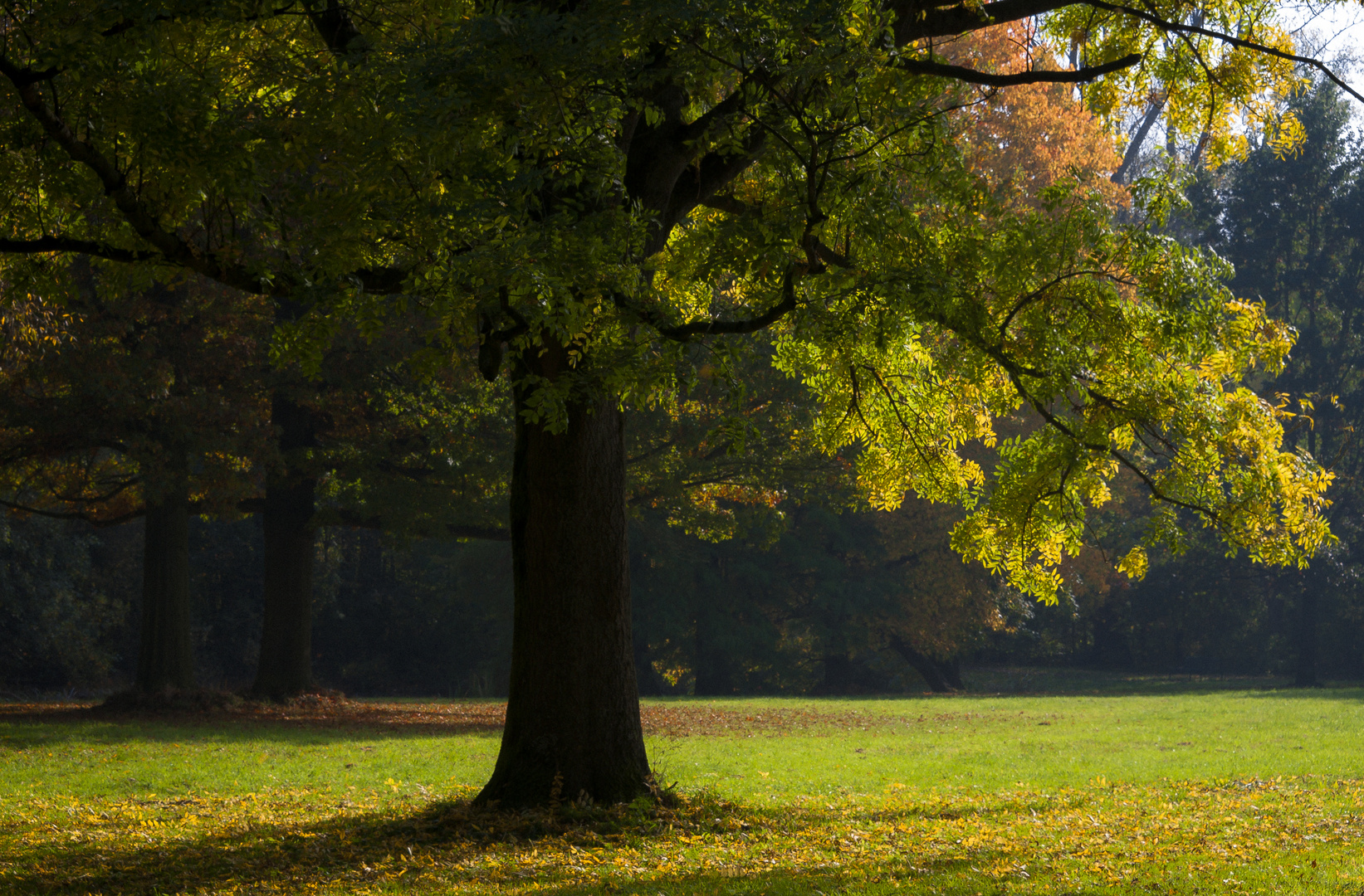 Milde Tage im Herbst…