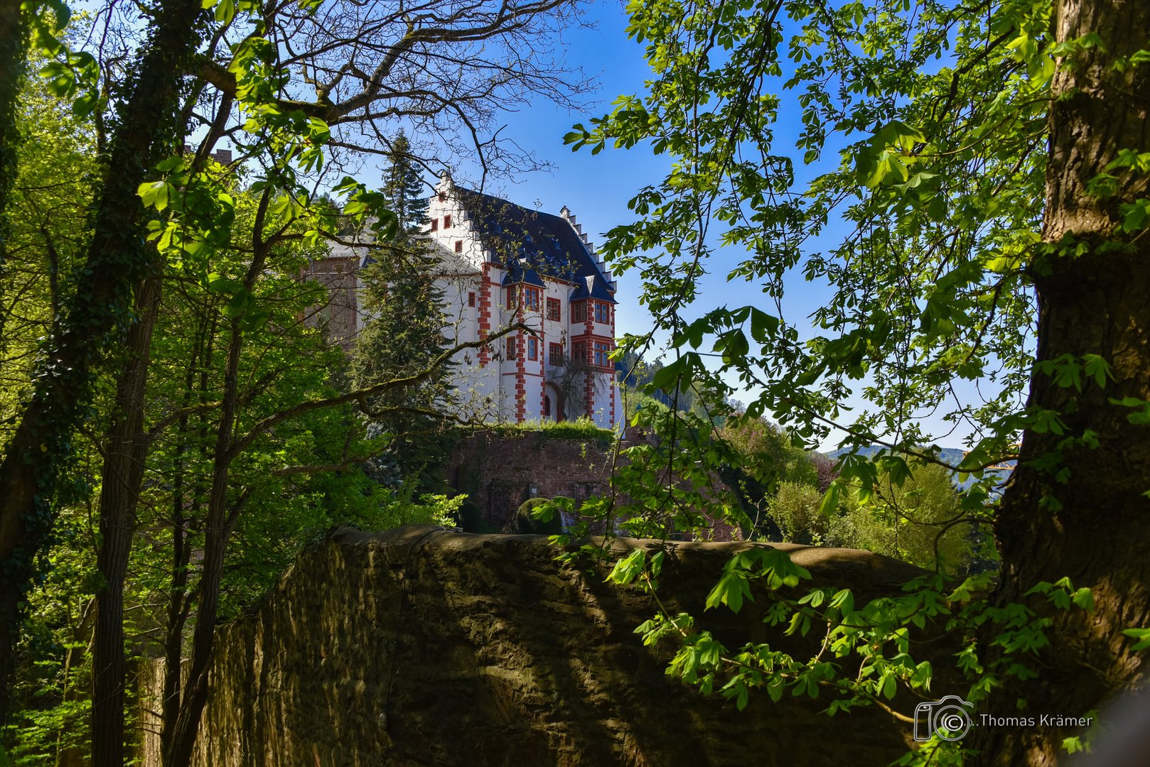 Mildenburg in Miltenberg D75_3853-2