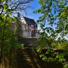 Mildenburg in Miltenberg D75_3853-2