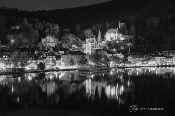 Mildenburg in SW - D85_0764-3