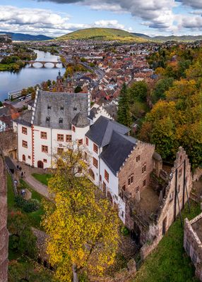 Mildenburg (Miltenberg)