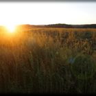 Milder Drei-Königs-Abend