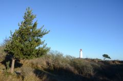 Milder Januar am Leuchtturm Dornbusch 