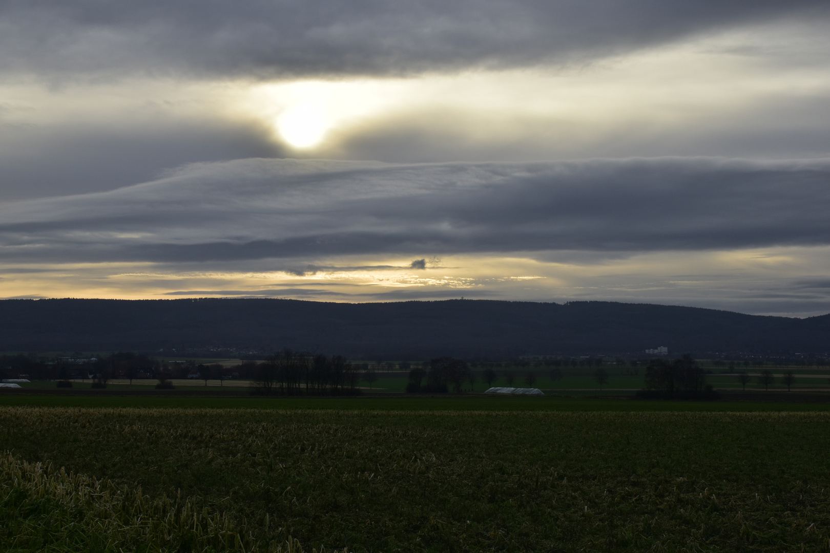 milder Winter-Nachmittag am Deister