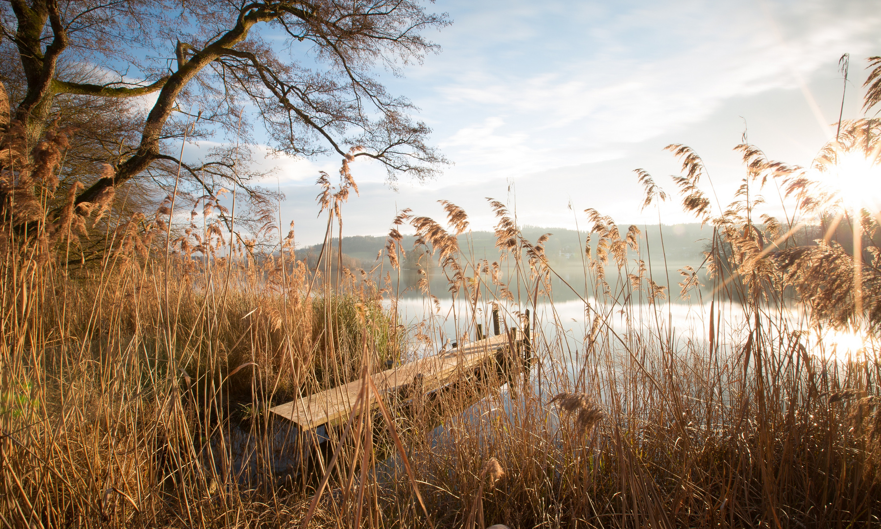 Milder Wintertag am Mauensee