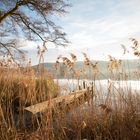 Milder Wintertag am Mauensee