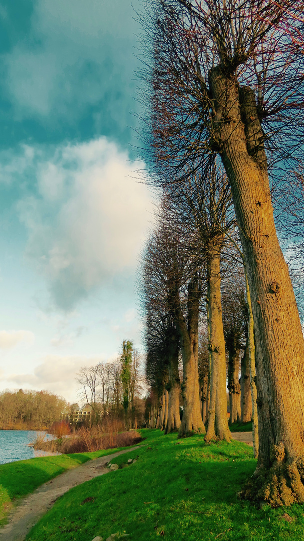 Milder Wintertag in Glücksburg