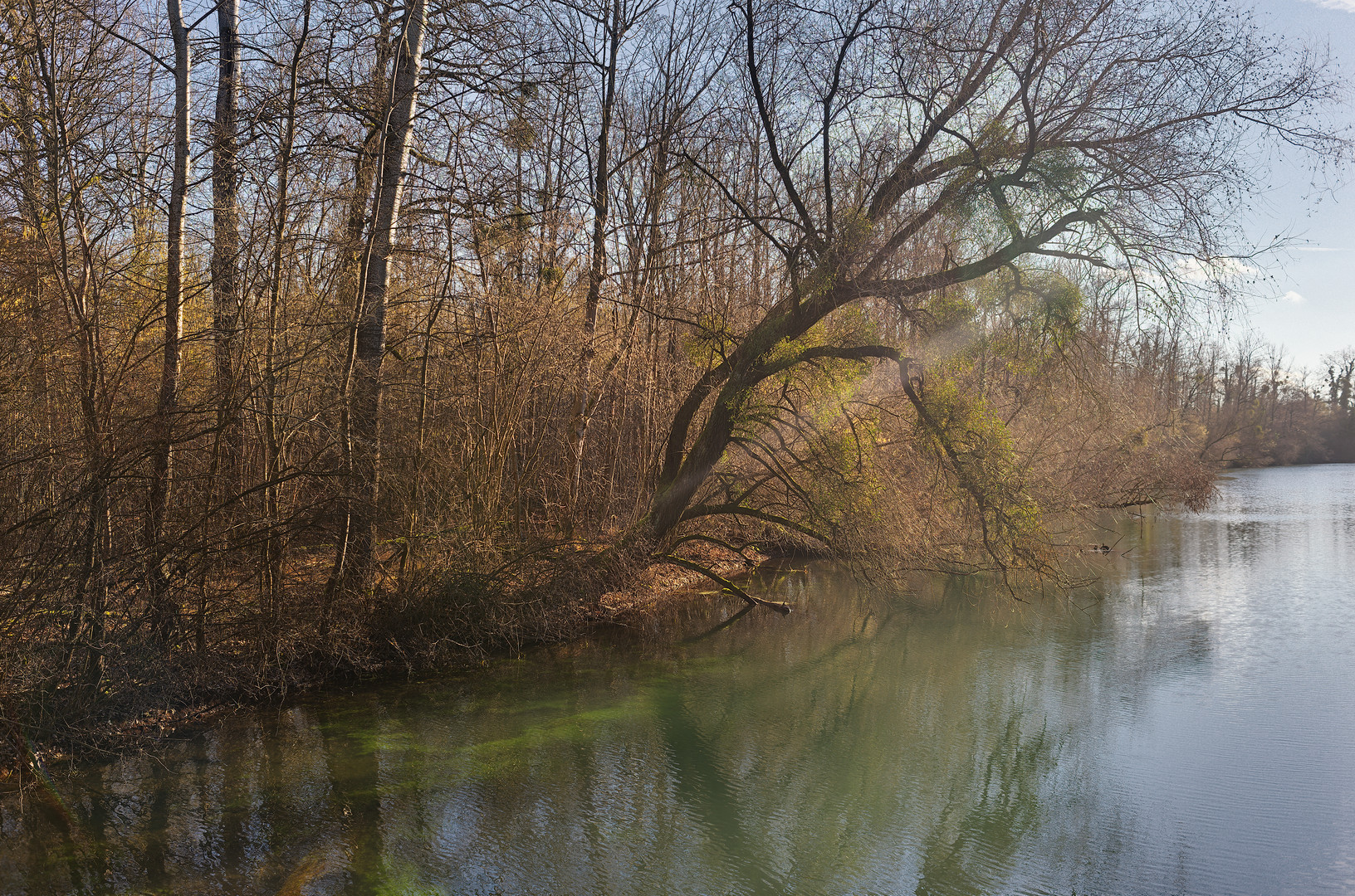 Mildes sonniges Intermezzo